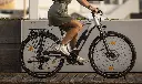 withrider.webp